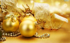 Organizacja zajęć w dniu 22.12.2015r.