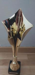 Mistrzostwach Powiatu Łancuckiego w Piłce Nożnej U-15